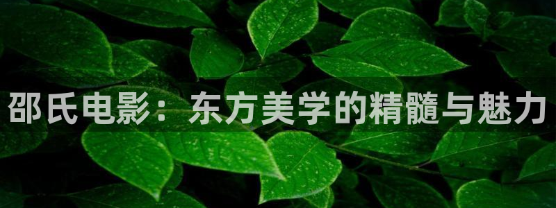 91私人影院在线观看