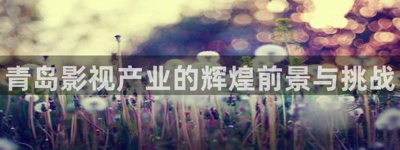 新视觉私人影视