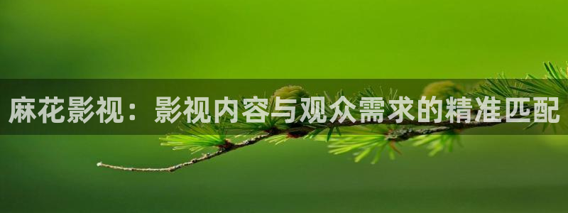 私人家庭影院5577